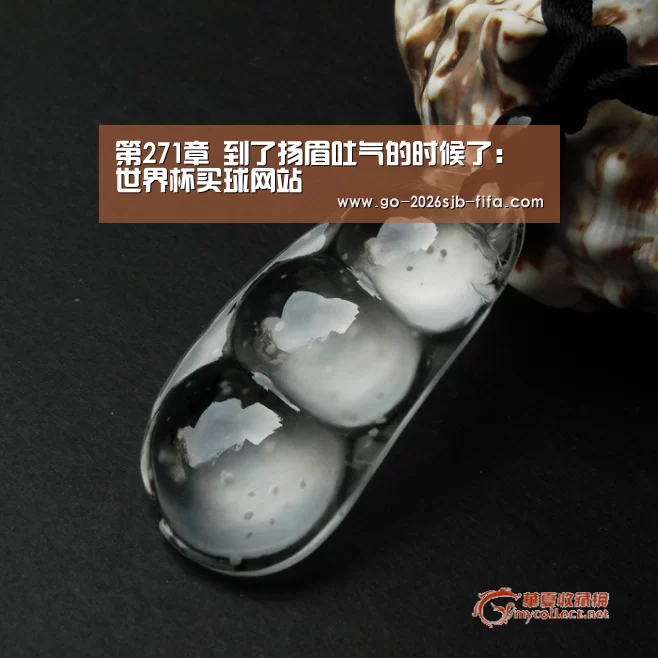 第271章 到了扬眉吐气的时候了:世界杯买球网站(图1) 世界杯外围买球