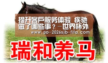 提升客户服务体验 疾驰做了哪些事?-世界杯外围买球(图4) 世界杯买球网站