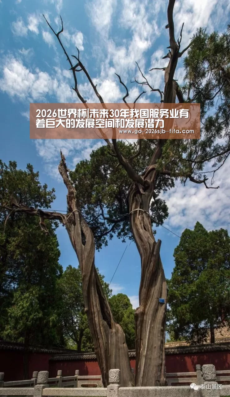 2026世界杯|未来30年我国服务业有着巨大的发展空间和发展潜力(图2) 世界杯投注