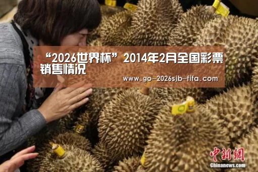 “2026世界杯”2014年2月全国彩票销售情况(图1) 2026世界杯