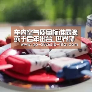 车内空气质量标准最晚或于后年出台_世界杯买球网站(图3) 世界杯投注