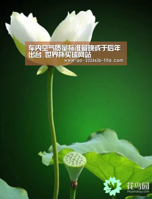 车内空气质量标准最晚或于后年出台_世界杯买球网站(图4) 世界杯投注