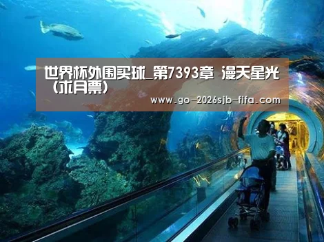 世界杯外围买球_第7393章 漫天星光(求月票)(图2) 世界杯外围买球