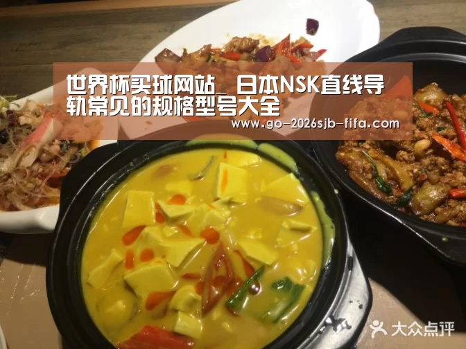 世界杯买球网站_
日本NSK直线导轨常见的规格型号大全(图2) 世界杯买球网站