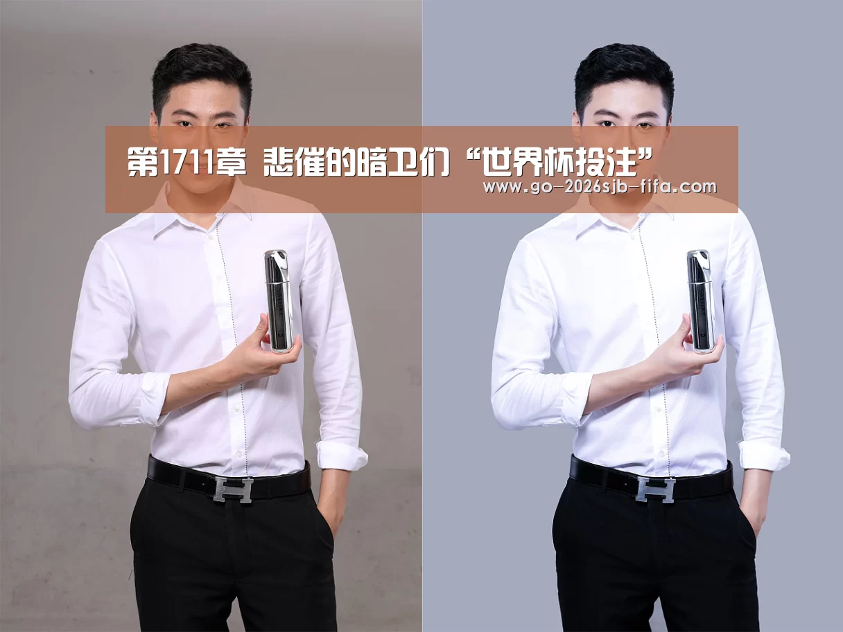 第1711章 悲催的暗卫们“世界杯投注”(图3) 2026世界杯