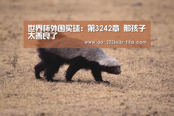 世界杯外围买球:第3242章 那孩子太善良了(图3) 世界杯外围买球